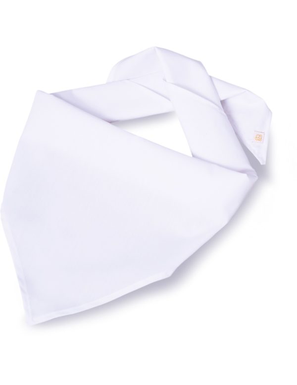 Max - Image 2
