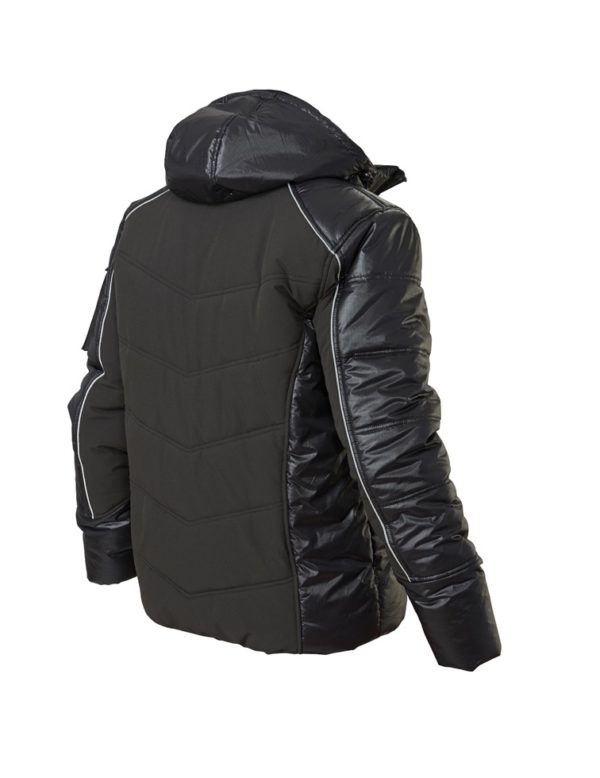 Scout - Image 2